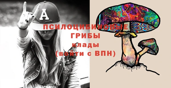 Альфа ПВП Абаза