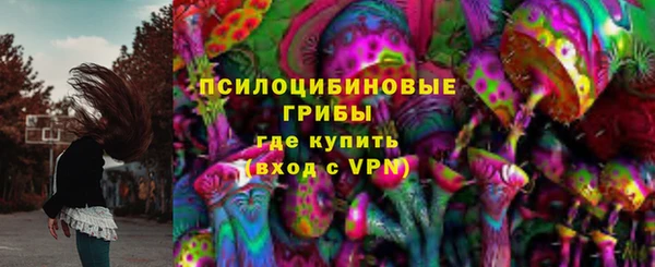 СК Алзамай