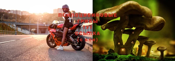 Альфа ПВП Абаза